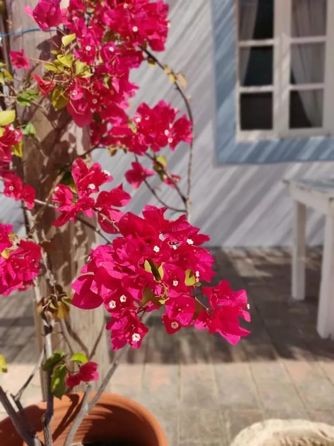 Casa Largo Do Poco Guesthouse Alvor 0*,  Portugalsko