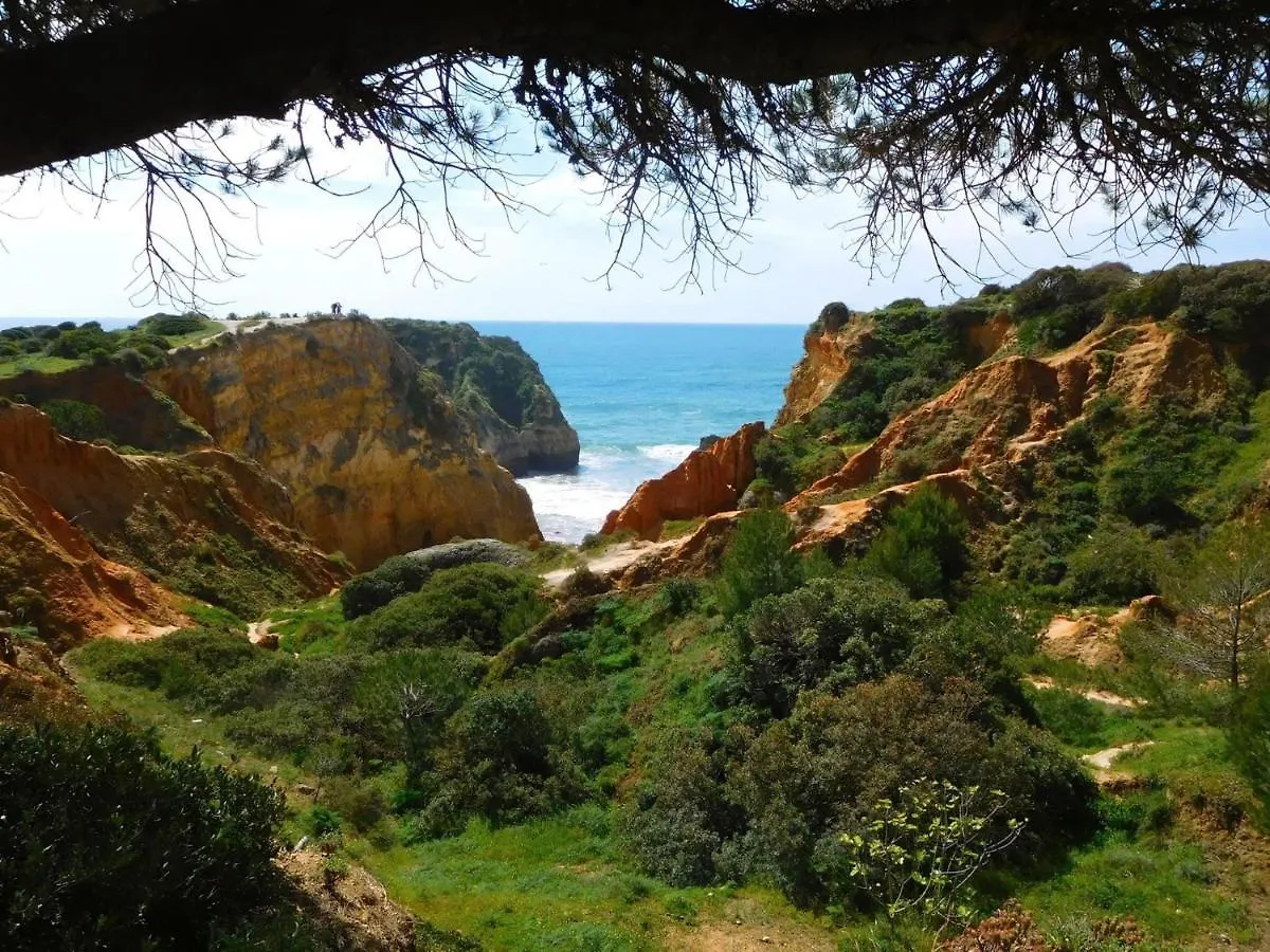 Casa Largo Do Poco Guesthouse Alvor 0*,